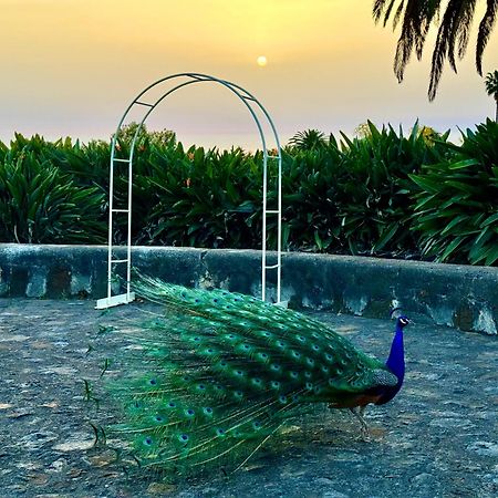 Finca La Principal Breña Alta المظهر الخارجي الصورة