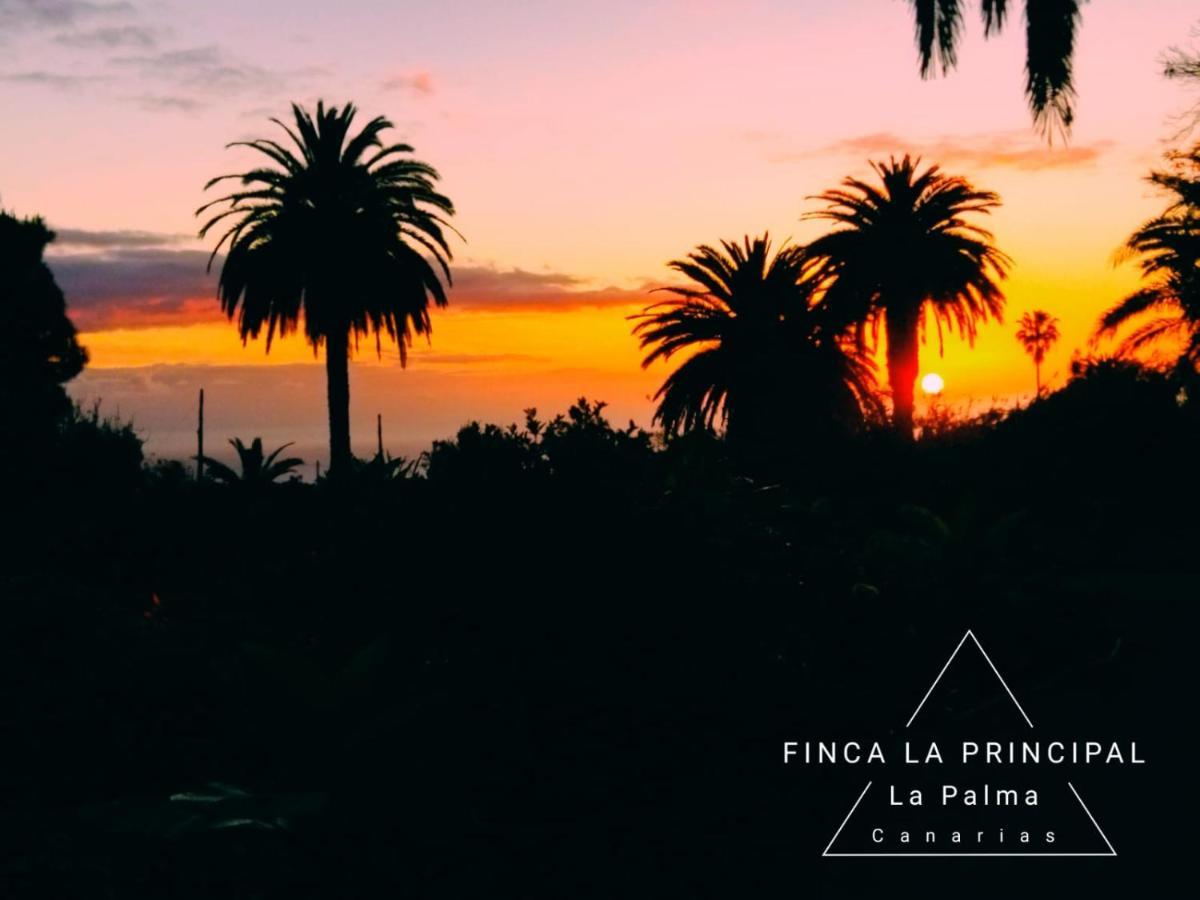 Finca La Principal Breña Alta المظهر الخارجي الصورة