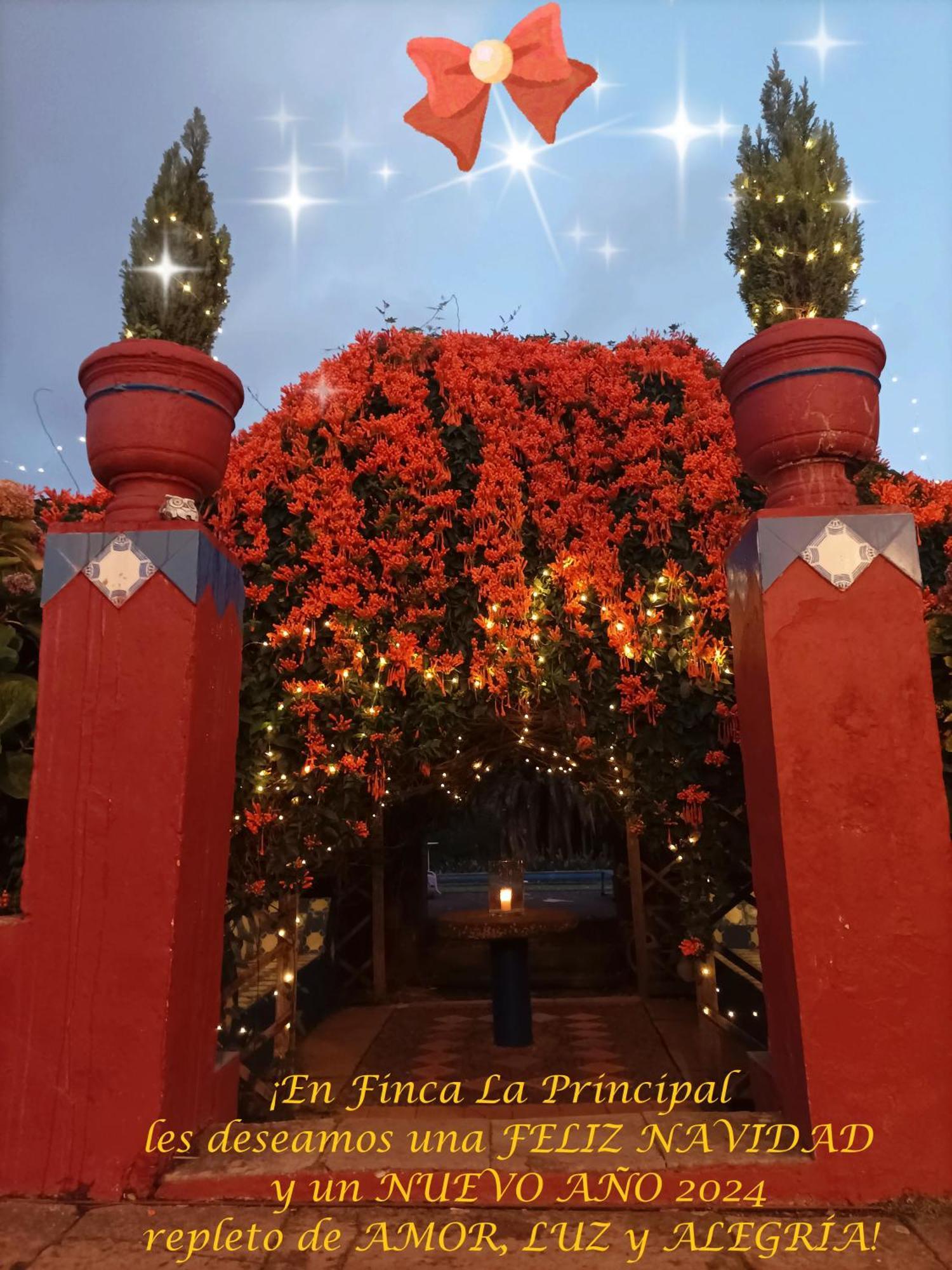 Finca La Principal Breña Alta المظهر الخارجي الصورة