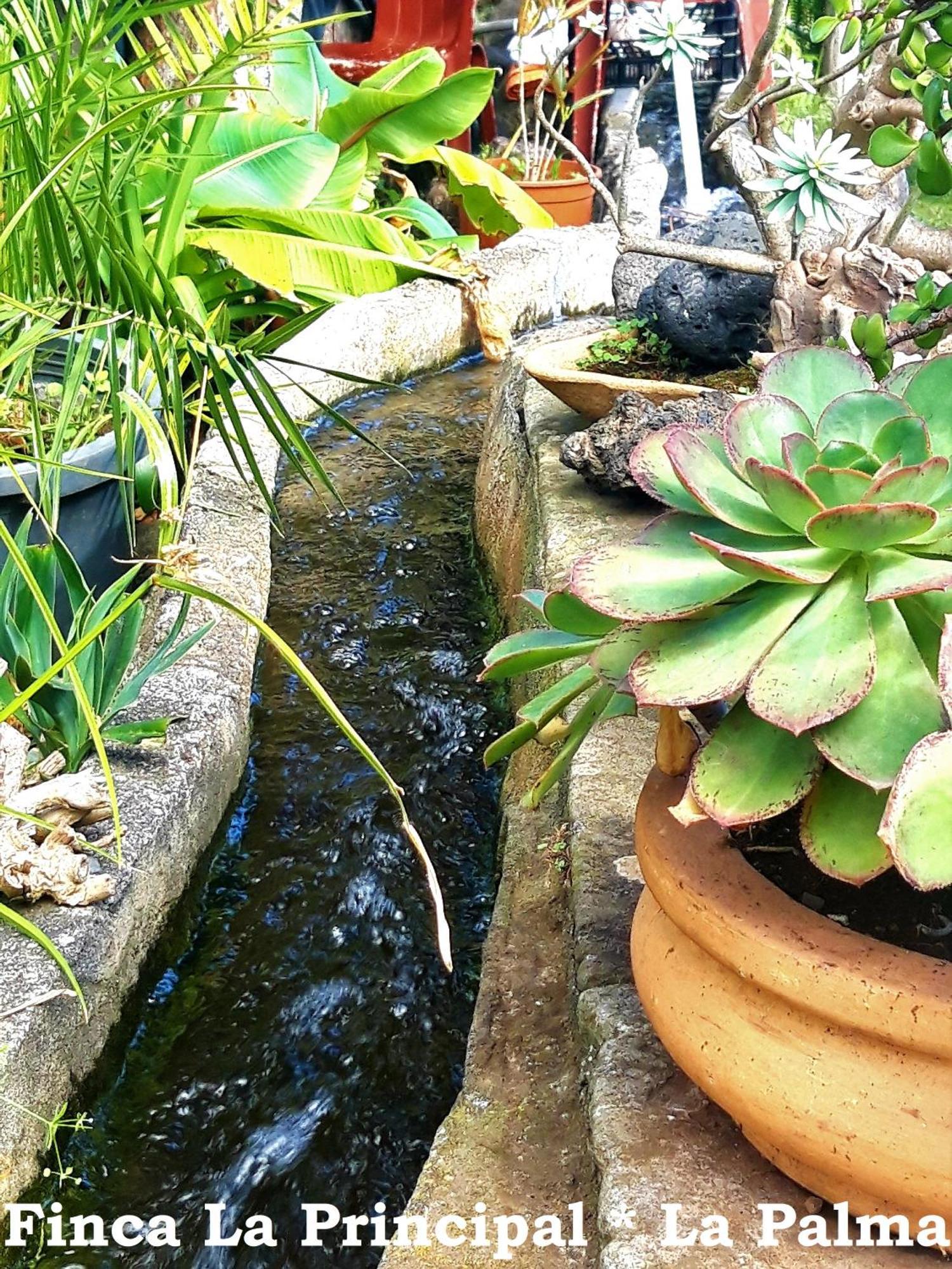 Finca La Principal Breña Alta المظهر الخارجي الصورة