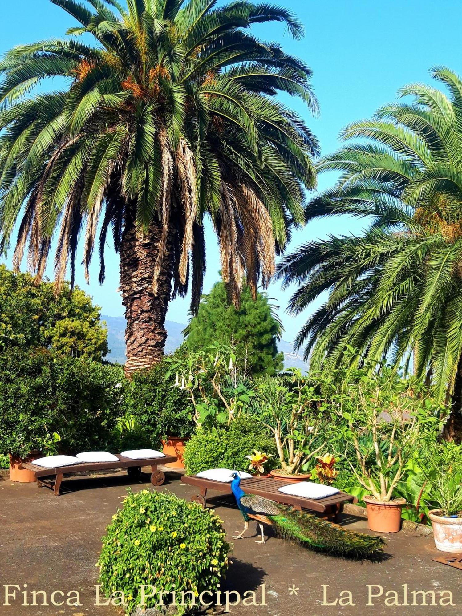 Finca La Principal Breña Alta المظهر الخارجي الصورة