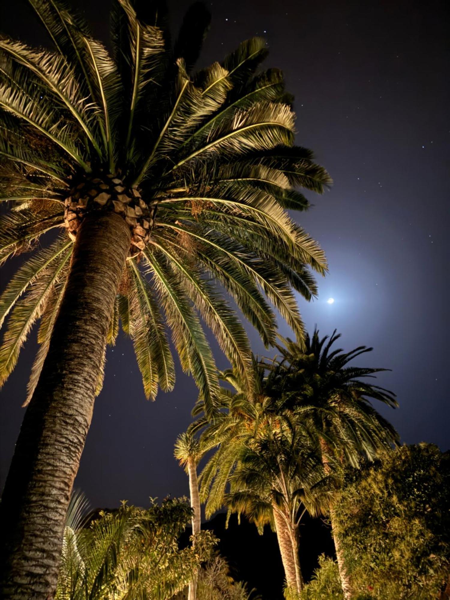 Finca La Principal Breña Alta المظهر الخارجي الصورة