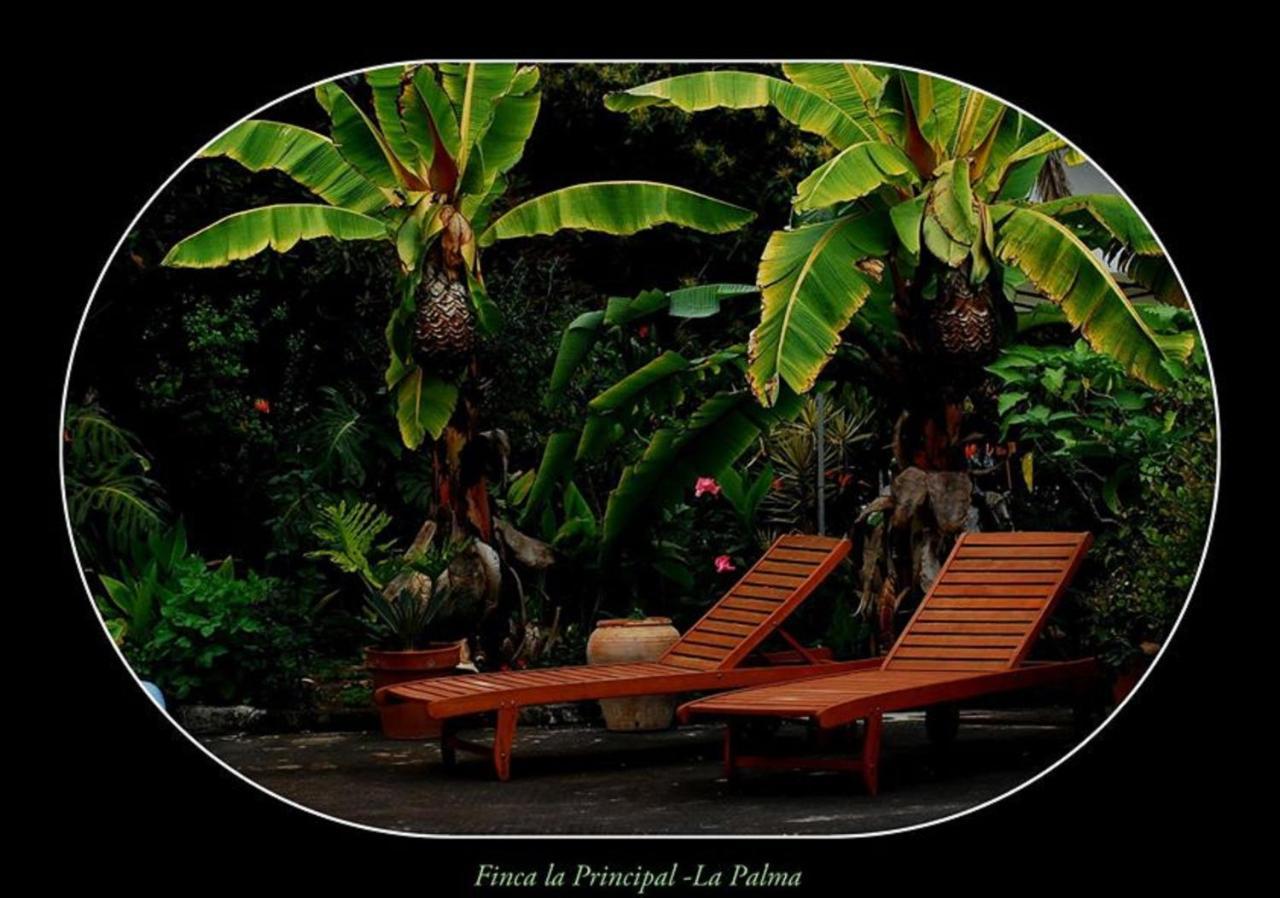 Finca La Principal Breña Alta المظهر الخارجي الصورة