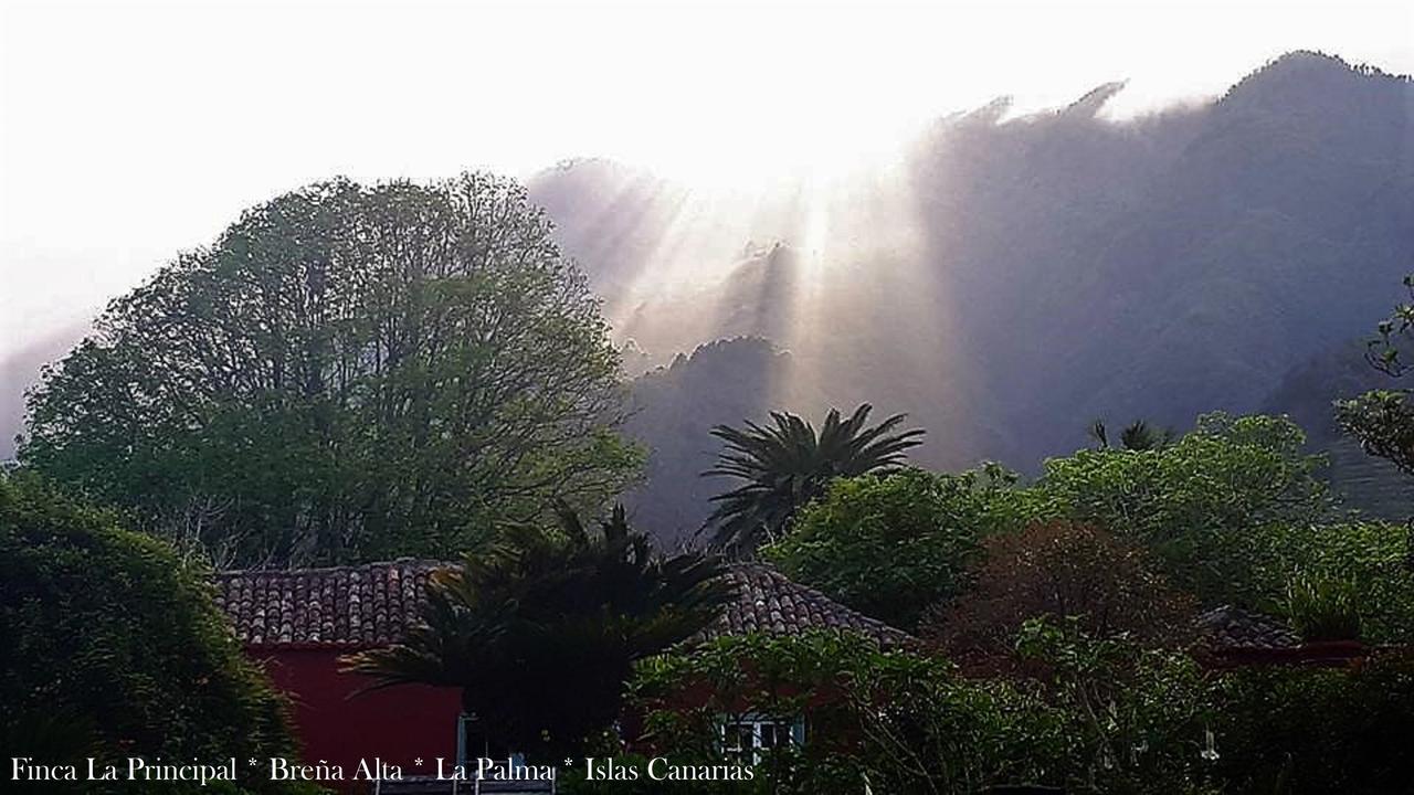 Finca La Principal Breña Alta المظهر الخارجي الصورة