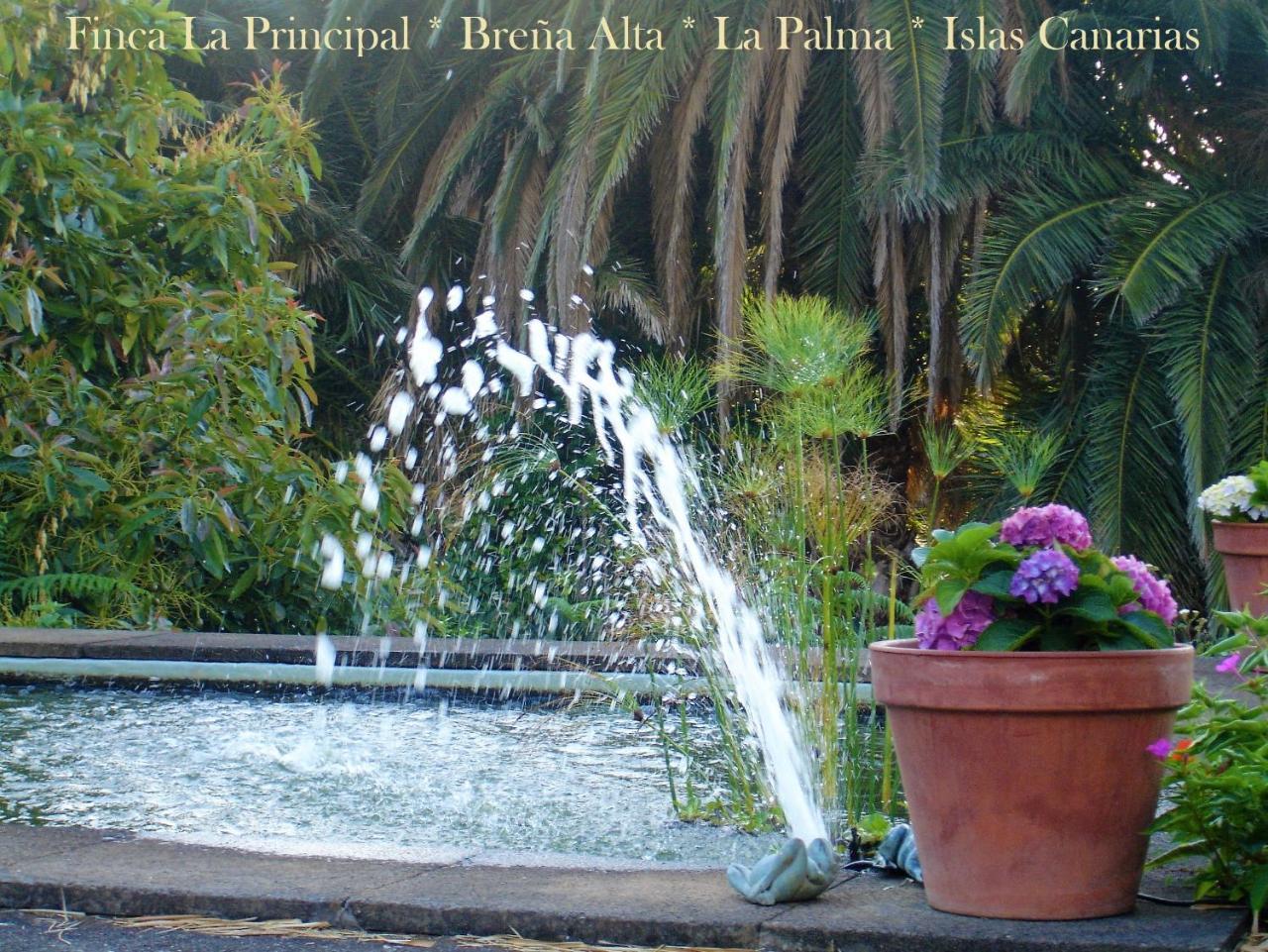 Finca La Principal Breña Alta المظهر الخارجي الصورة